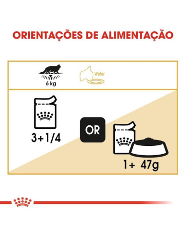 Royal Canin Maine Coon (Loaf), Gatos, Húmidos, Alimento