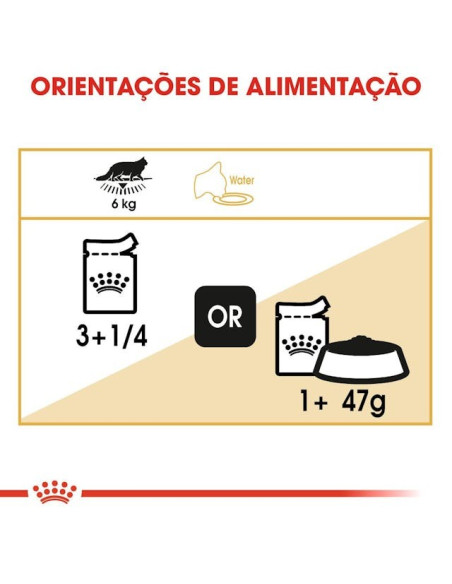 Royal Canin Maine Coon (Loaf), Gatos, Húmidos, Alimento