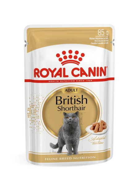 Royal Canin British Shorthair (Loaf), Gatos, Húmidos, Alimento