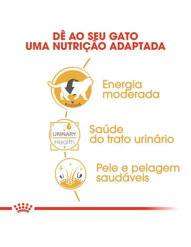 Royal Canin British Shorthair (Loaf), Gatos, Húmidos, Alimento