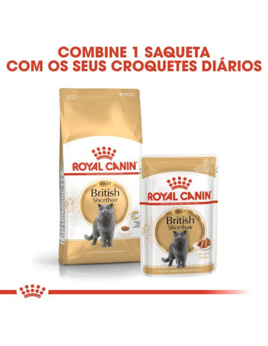 Royal Canin British Shorthair (Loaf), Gatos, Húmidos, Alimento