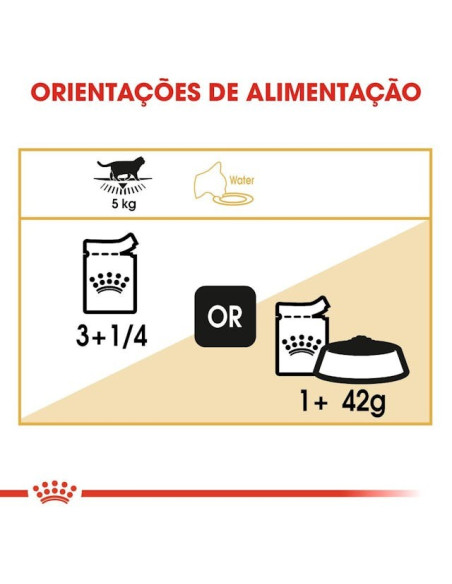 Royal Canin British Shorthair (Loaf), Gatos, Húmidos, Alimento