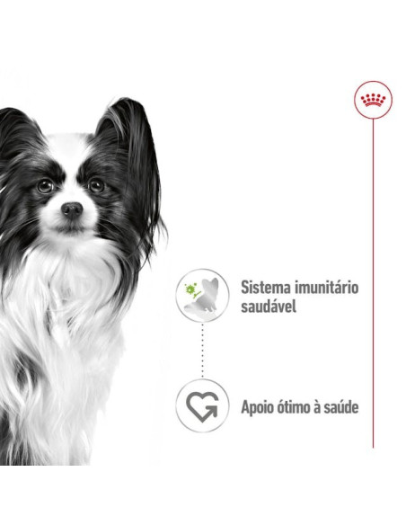 Royal Canin X-small Adult, Cão, Húmidos, Adulto, Alimento