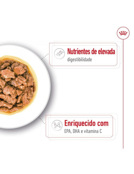 Royal Canin X-small Adult, Cão, Húmidos, Adulto, Alimento
