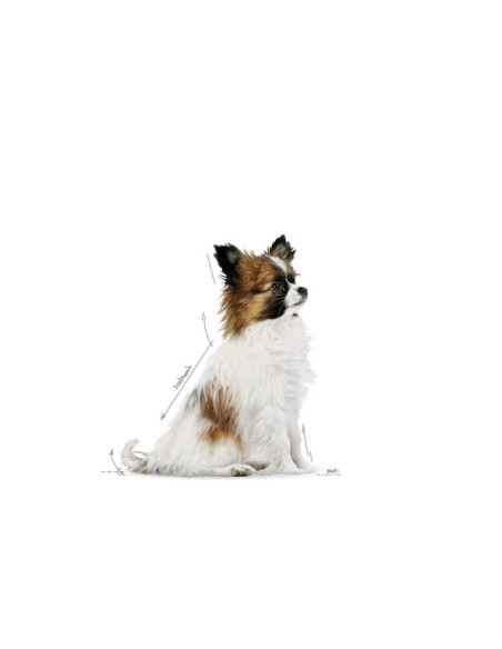 Royal Canin X-small Puppy, Cão, Húmidos, Cachorro, Alimento