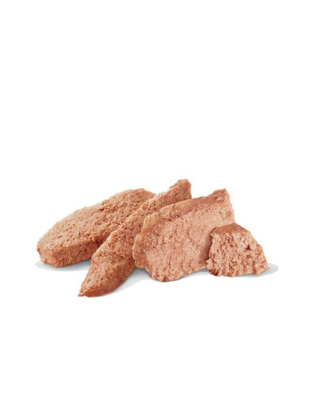 Royal Canin Veterinary Diet Cão Húmidos Hypoallergenic 200gr