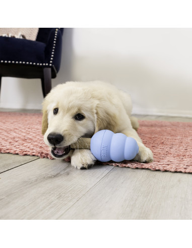Kong Snacks Ziggies p/rechear Brinquedos PUPPY - M/L (XZ72E)