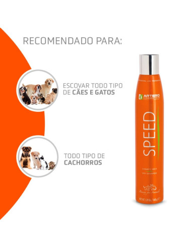 Champô seco Artero Speed 300ml