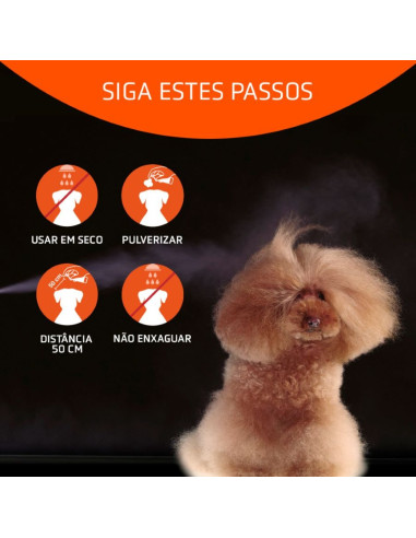 Champô seco Artero Speed 300ml