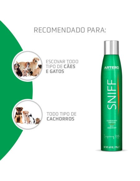 Champô seco Artero Speed 300ml