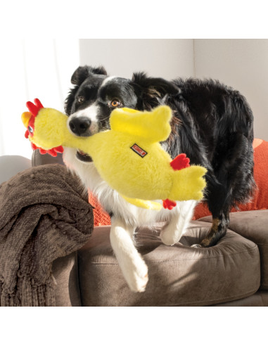 Brinquedo Kong Scruffs Frango - Medium/Large (SCF11E)