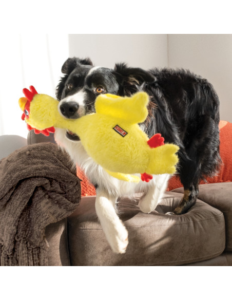 Brinquedo Kong Scruffs Tartaruga - Medium/Large (SCF11E)