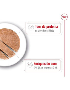 Royal Canin Medium Ageing 10+, Cão, Húmidos, Adulto, Alimento 2