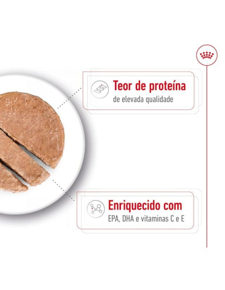 Royal Canin Medium Ageing 10+, Cão, Húmidos, Adulto, Alimento