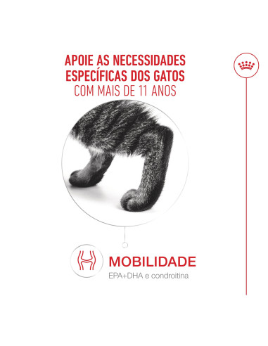 Royal Canin Ageing 11+, Gato, Seco, Sénior, Alimento/Ração