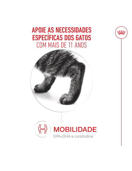 Royal Canin Ageing 11+, Gato, Seco, Sénior, Alimento/Ração