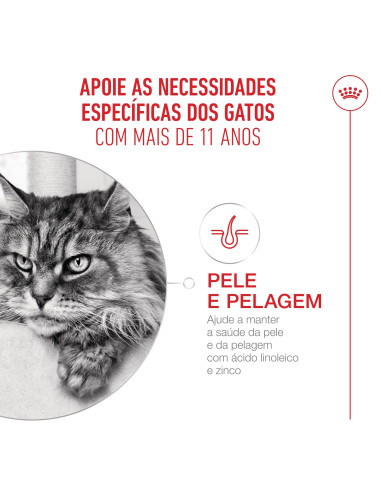 Royal Canin Ageing 11+, Gato, Seco, Sénior, Alimento/Ração