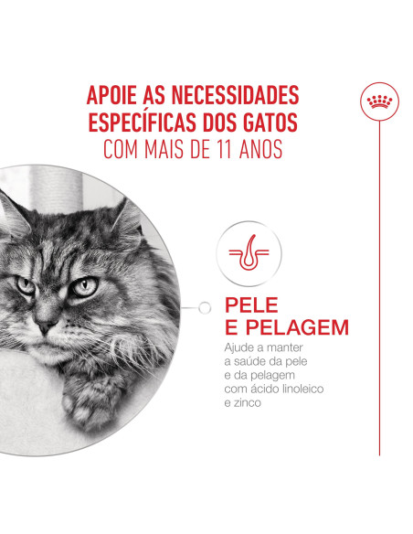 Royal Canin Ageing 11+, Gato, Seco, Sénior, Alimento/Ração