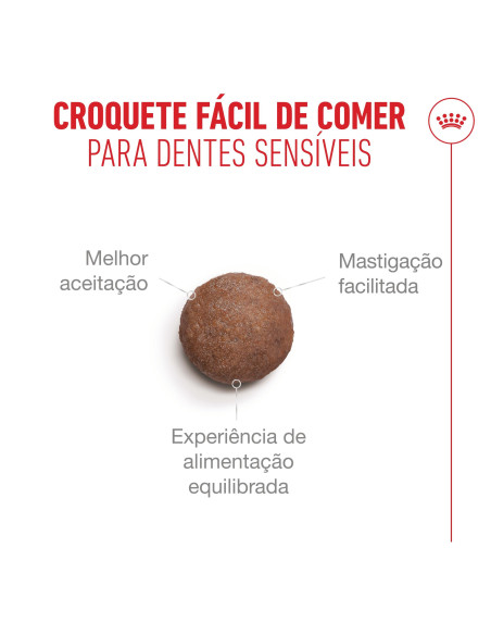Royal Canin Ageing 11+, Gato, Seco, Sénior, Alimento/Ração