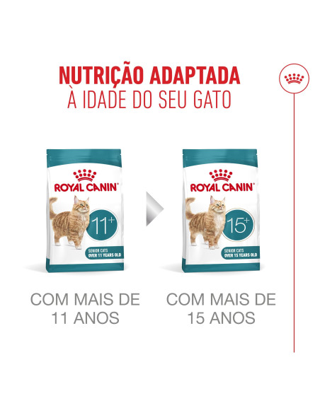 Royal Canin Ageing 11+, Gato, Seco, Sénior, Alimento/Ração