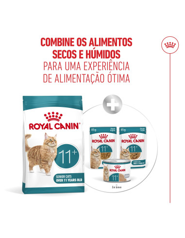 Royal Canin Ageing 11+, Gato, Seco, Sénior, Alimento/Ração