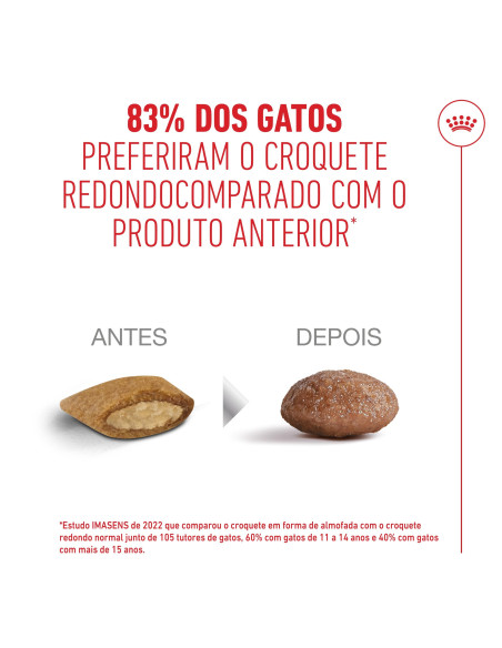 Royal Canin Ageing 11+, Gato, Seco, Sénior, Alimento/Ração
