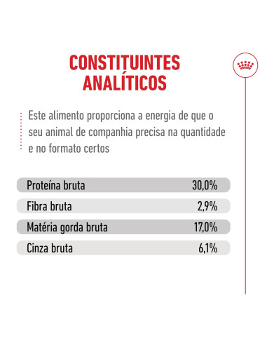 Royal Canin Ageing 11+, Gato, Seco, Sénior, Alimento/Ração