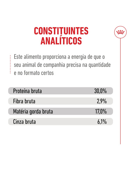 Royal Canin Ageing 11+, Gato, Seco, Sénior, Alimento/Ração