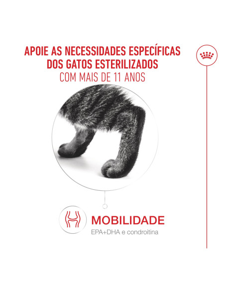 Royal Canin Ageing 11+ Sterilised, Gato, Seco, Sénior, Alimento/Ração