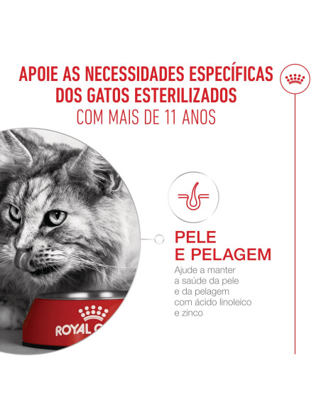 Royal Canin Ageing 11+ Sterilised, Gato, Seco, Sénior, Alimento/Ração