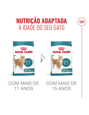 Royal Canin Ageing 11+ Sterilised, Gato, Seco, Sénior, Alimento/Ração
