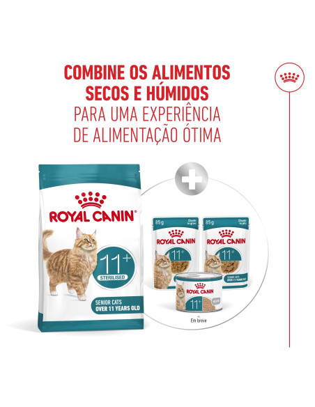 Royal Canin Ageing 11+ Sterilised, Gato, Seco, Sénior, Alimento/Ração