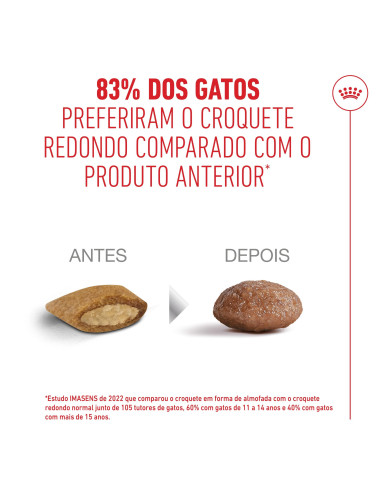 Royal Canin Ageing 11+ Sterilised, Gato, Seco, Sénior, Alimento/Ração