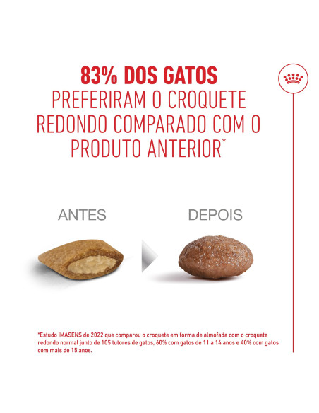 Royal Canin Ageing 11+ Sterilised, Gato, Seco, Sénior, Alimento/Ração