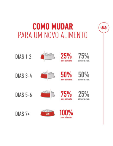 Royal Canin Ageing 11+ Sterilised, Gato, Seco, Sénior, Alimento/Ração