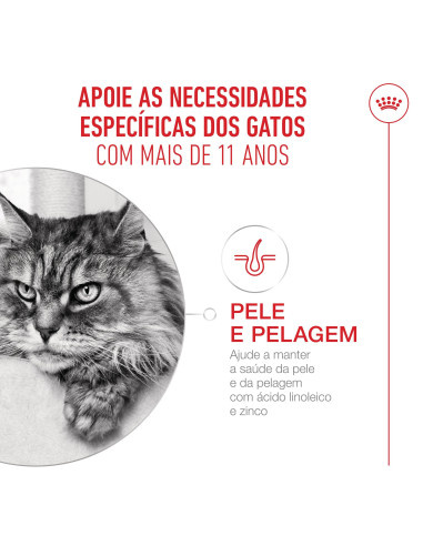 Royal Canin Ageing +11 (Gravy), Gatos, Húmidos, Sénior, Alimento