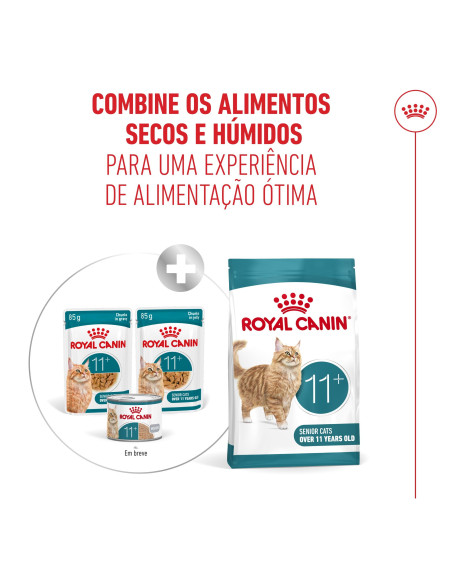 Royal Canin Ageing +11 (Gravy), Gatos, Húmidos, Sénior, Alimento