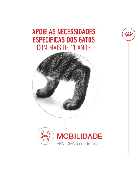 Royal Canin Ageing +11 (Jelly), Gatos, Húmidos, Sénior, Alimento