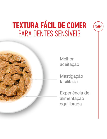 Royal Canin Ageing +11 (Jelly), Gatos, Húmidos, Sénior, Alimento