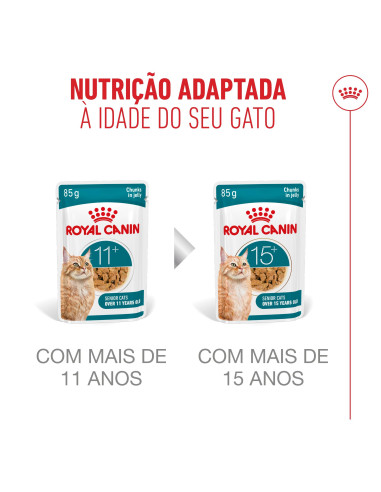 Royal Canin Ageing +11 (Jelly), Gatos, Húmidos, Sénior, Alimento