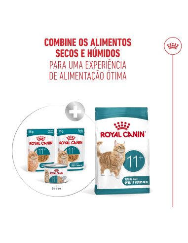 Royal Canin Ageing +11 (Jelly), Gatos, Húmidos, Sénior, Alimento