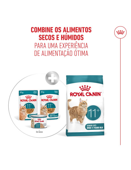 Royal Canin Ageing +11 (Jelly), Gatos, Húmidos, Sénior, Alimento