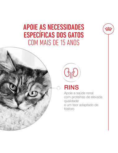 Royal Canin Ageing +15 (Gravy), Gatos, Húmidos, Sénior, Alimento