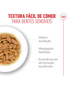 Royal Canin Ageing +15 (Gravy), Gatos, Húmidos, Sénior, Alimento 2