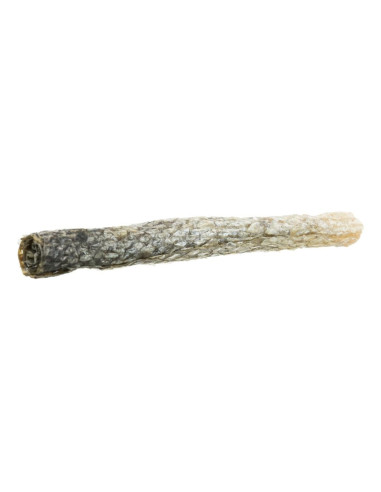 Trixie Cão Snack Salmon Cigars- pele de salmão 70ge (6un)