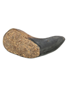Trixie Cão Snack Corno de Búfalo recheado com nervo e tendão