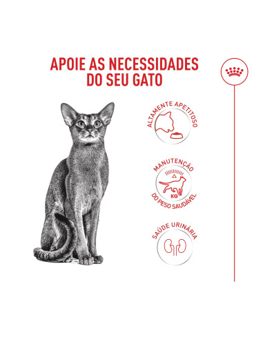 Royal Canin Fussy Exigent, Gato, Seco, Adulto, Alimento/Ração