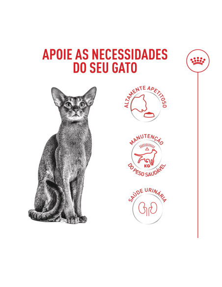 Royal Canin Fussy Exigent, Gato, Seco, Adulto, Alimento/Ração