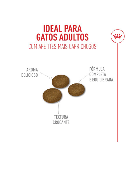 Royal Canin Fussy Exigent, Gato, Seco, Adulto, Alimento/Ração