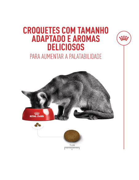 Royal Canin Fussy Exigent, Gato, Seco, Adulto, Alimento/Ração